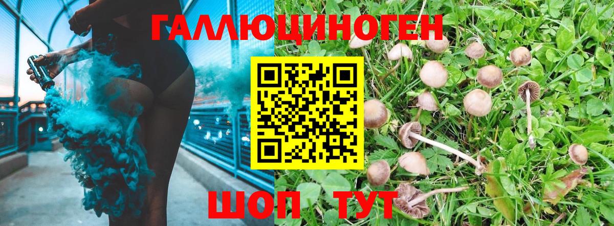 Галлюциногенные грибы Cubensis Кирово-Чепецк